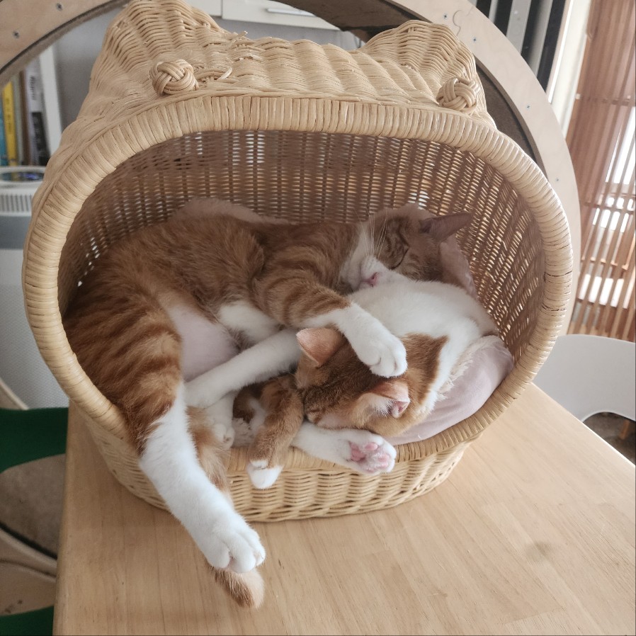 누리_민이2.jpg