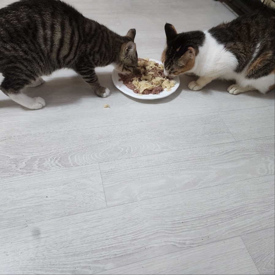 KakaoTalk_20260106_013234638_02.jpg