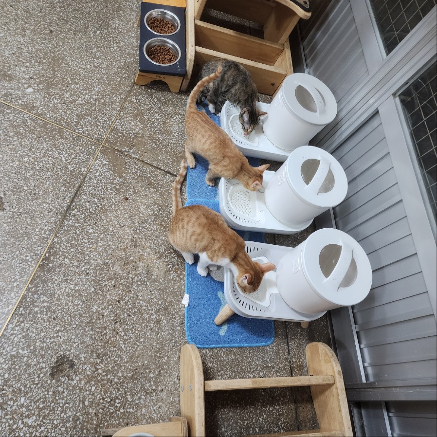물먹자야.jpg