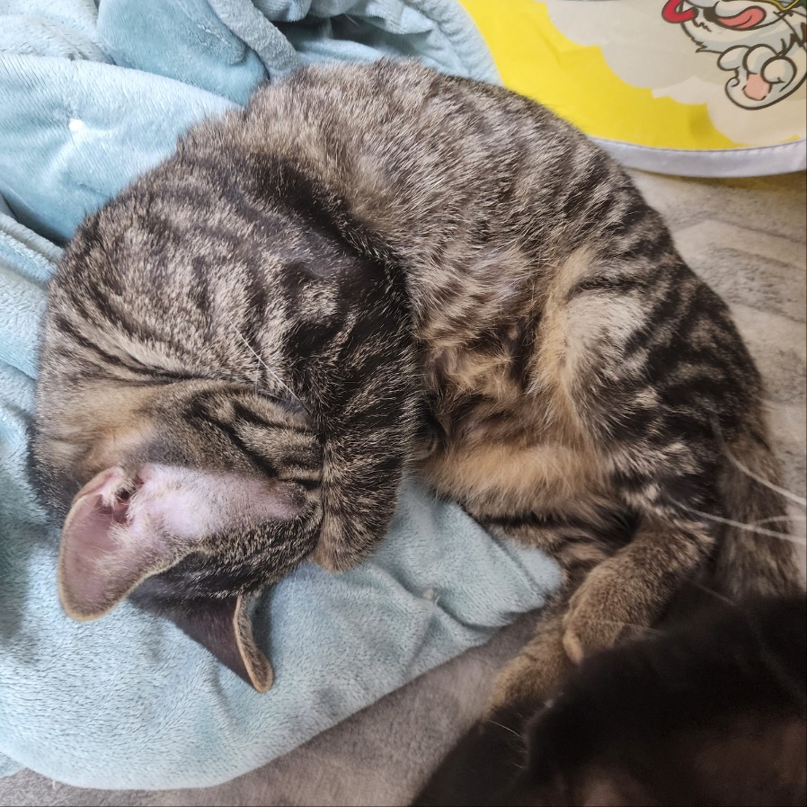 쪼깐이.jpg